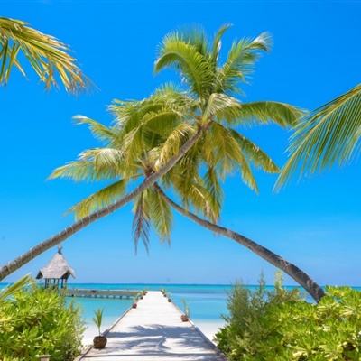 幸运彩票app下载