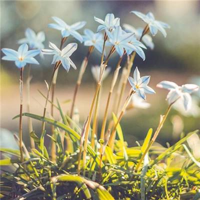 星空体育app下载app下载