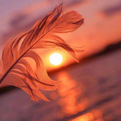 火狐电竞手机app下载