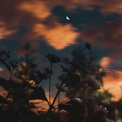 leyu乐鱼下载手机版